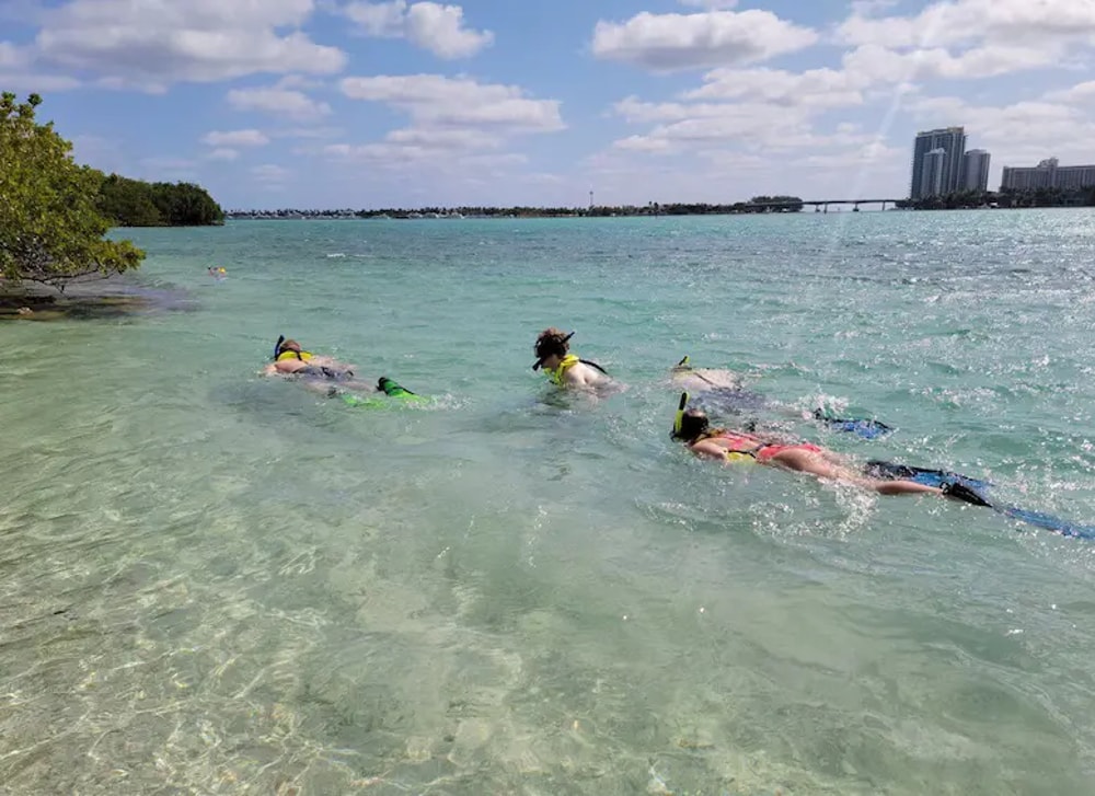 Raccoon Island Kayak and Wildlife Exploration in Miami