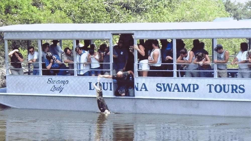 Guided Louisiana Swamp Tour in New Orleans