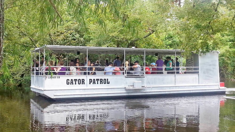 Manchac Swamp & Bayou Boat Tour in New Orleans