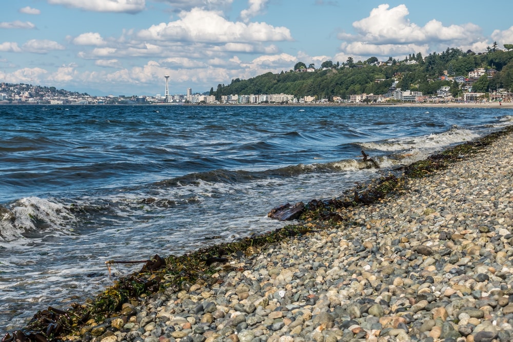 Alki Beach Park in Seattle