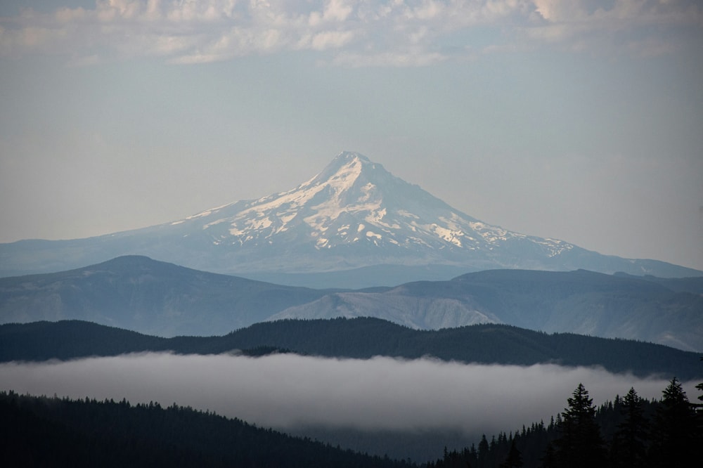 Columbia Gorge & Mt. Hood Day Tour in Portland (Oregon)