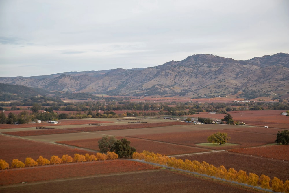 Napa and Sonoma Wine Country Tour in San Francisco