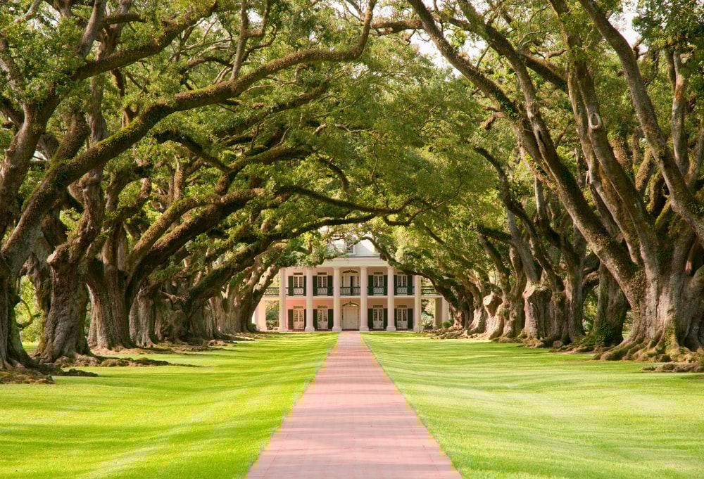 Oak Alley Plantation Tour in New Orleans