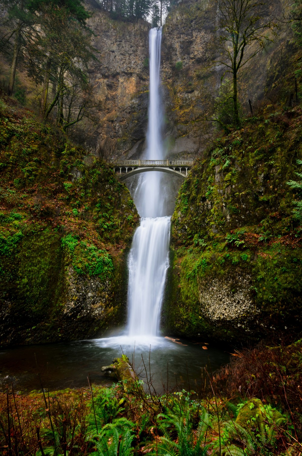 Multnomah Falls & Gorge Waterfalls Tour - Portland’s Half-Day Scenic Escape in Portland (Oregon)