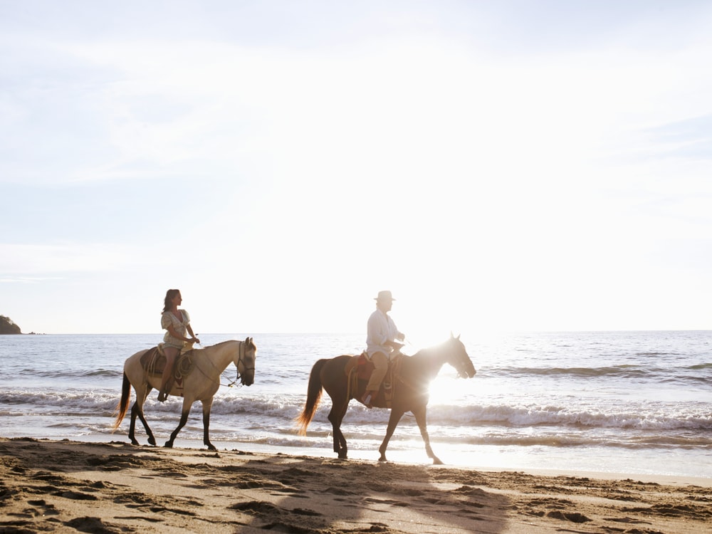 Miami Beach Horseback Riding Experience in Miami