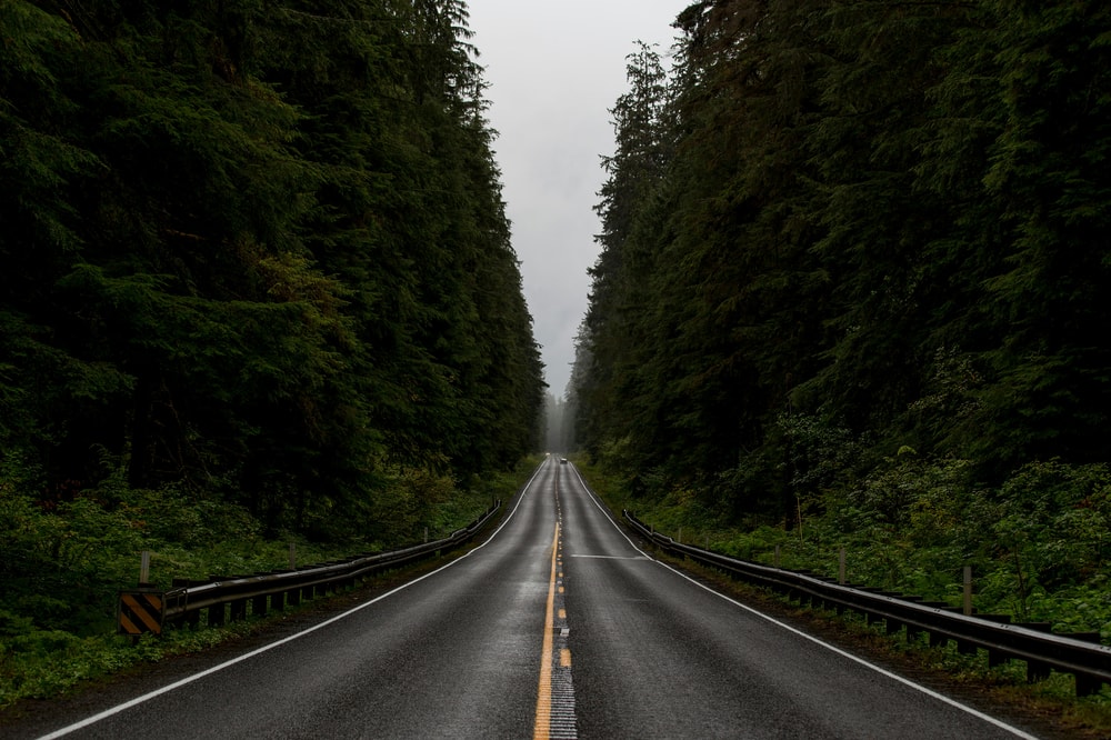 Olympic National Park Full-Day Escape in Seattle