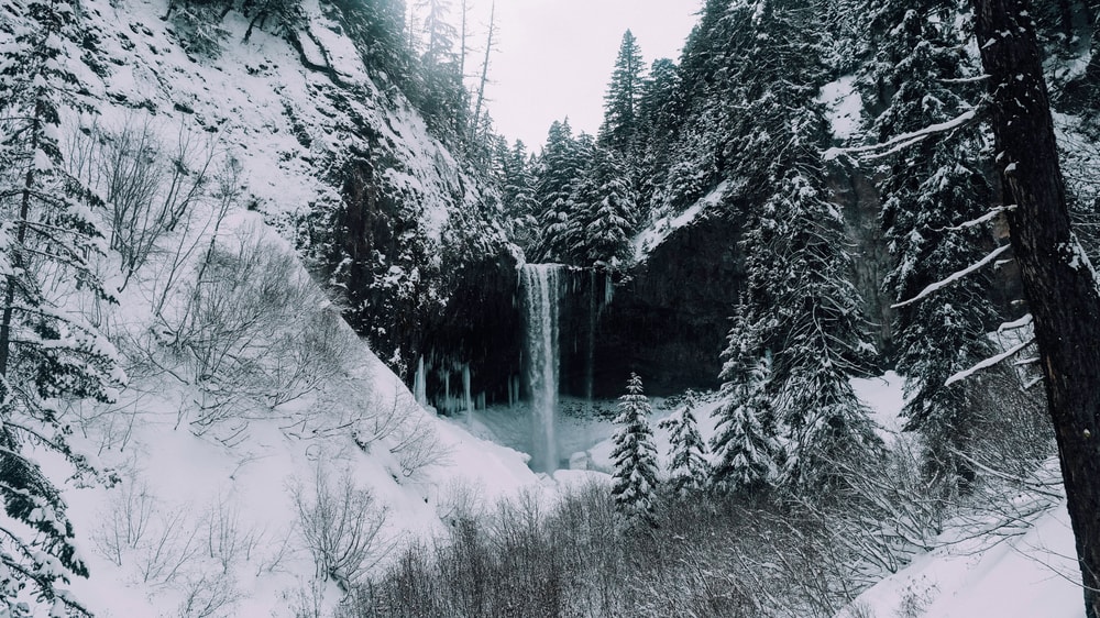 Winter Valley & Forest Hike in Anchorage