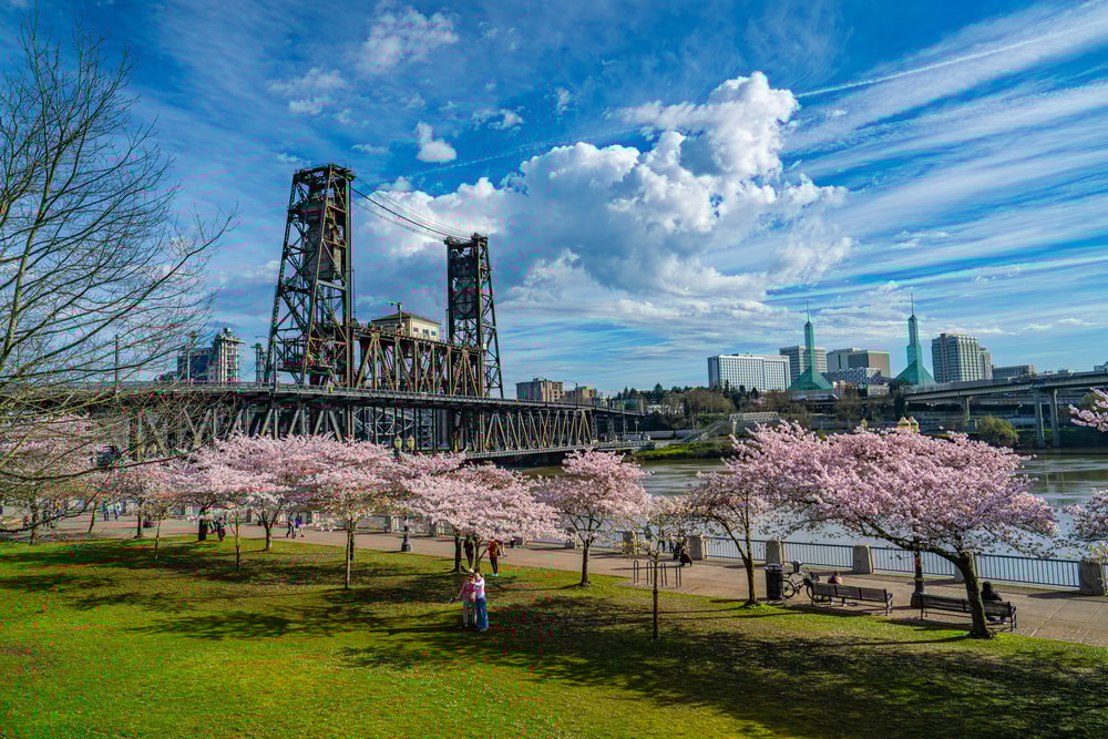 Portland City Highlights Tour in Portland (Oregon)