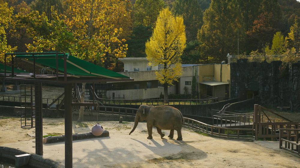 Woodland Park Zoo in Seattle