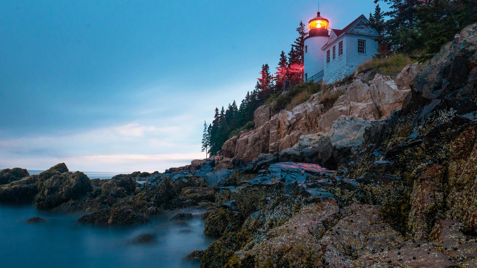 Top 5 Experiences in Acadia National Park