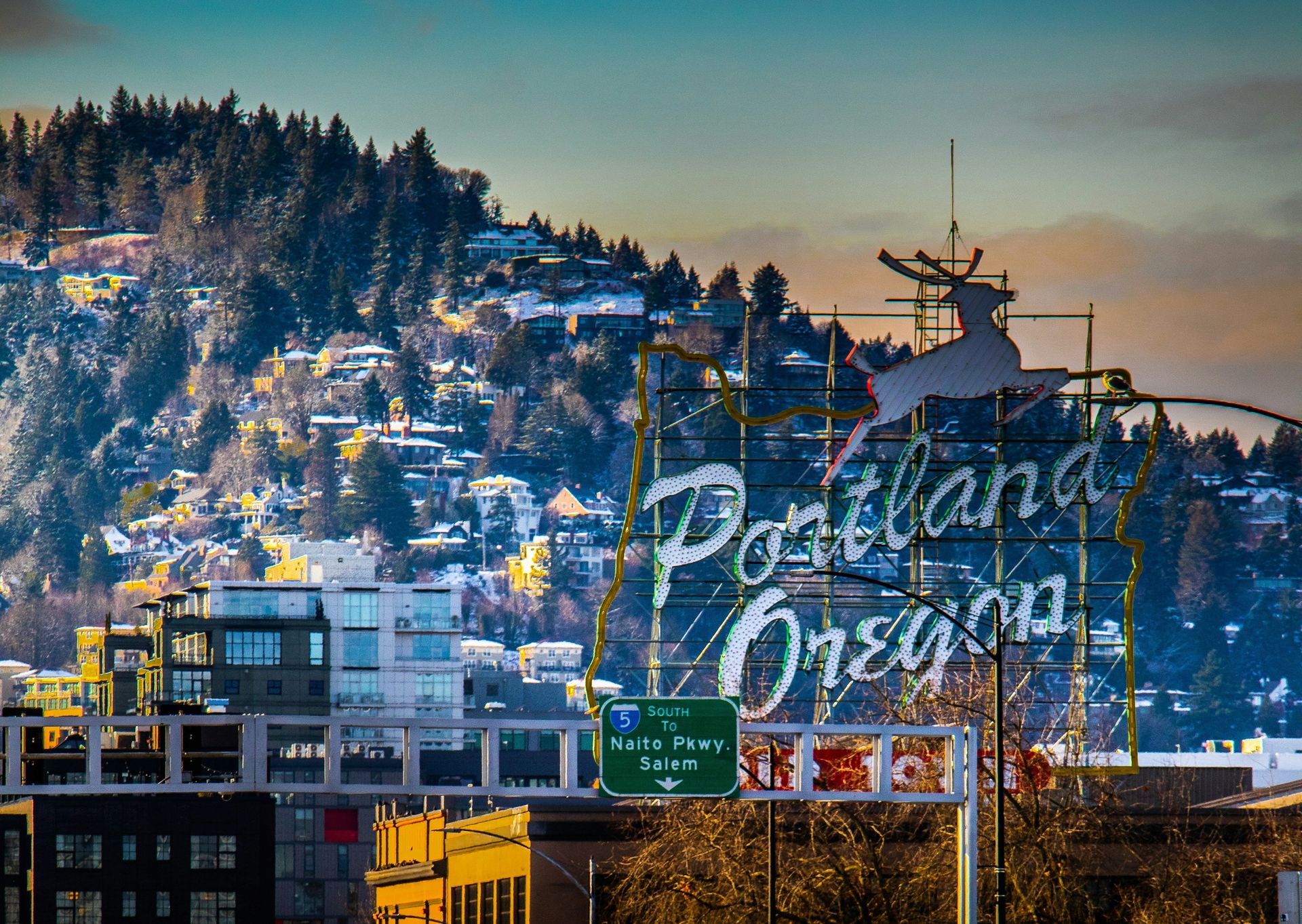 Hidden Gems in Portland (Oregon): 10 Experiences