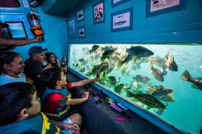 Glass-Bottom Boat Ride in Redondo Beach
