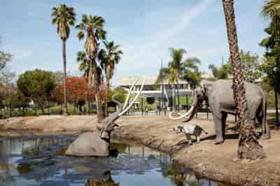 La Brea Tar Pits & Museum Admission Ticket