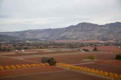 Napa and Sonoma Wine Country Tour