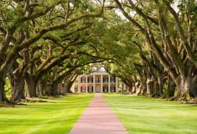 Oak Alley Plantation Tour