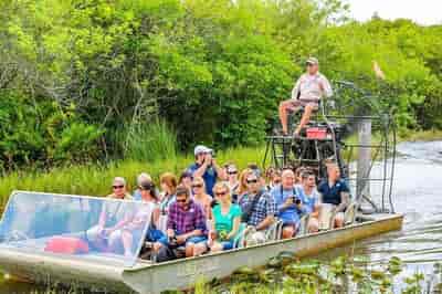 Everglades Airboat Safari from Miami