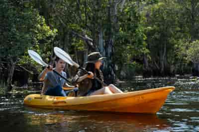 Honey Island Swamp Kayak Tour