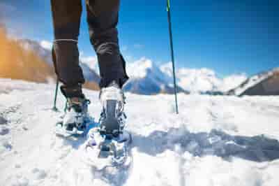 Advanced Snowshoeing Adventure in Anchorage