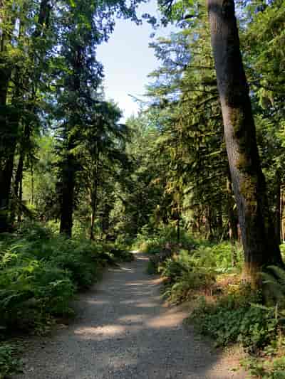 Forest Park Trails