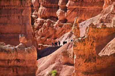 8-Day West Coast & National Parks Tour