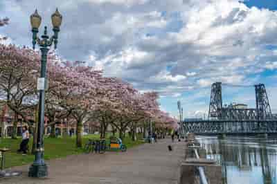Portland Highlights City Tour
