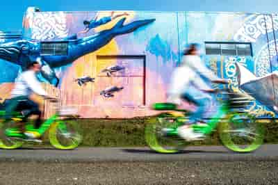Portland Street Art Bike Tour