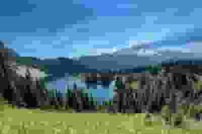 Mt. Rainier Day Tour (Full Day) in Seattle